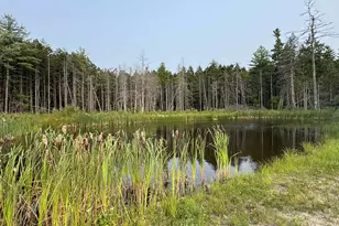 10 Pine Hill Rd, Wesley, ME 04686 - Photo 31