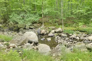 189 Basin Rd, Carthage, ME 04224 - Photo 23