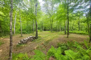 189 Basin Rd, Carthage, ME 04224 - Photo 25