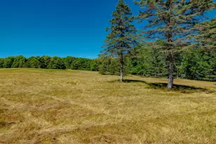 269 Wardwell Point Rd, Penobscot, ME 04476 - Photo 71