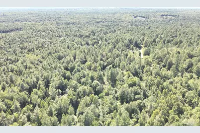 279 East Branch Road, Seboeis Plantation, ME 04448 - Photo 5