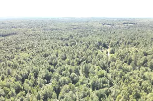 279 E Branch Rd, Seboeis Plantation, ME 04448 - Photo 5