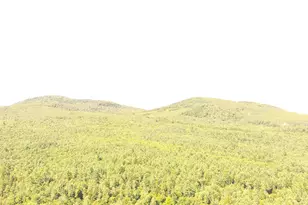 279 E Branch Rd, Seboeis Plantation, ME 04448 - Photo 9