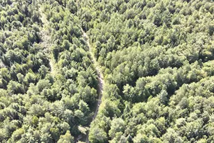 279 E Branch Rd, Seboeis Plantation, ME 04448 - Photo 7