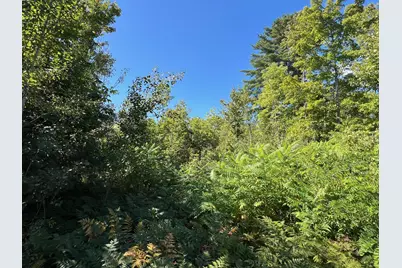 Map 1 Lot 16 Dexter Road, Garland, ME 04939 - Photo 7