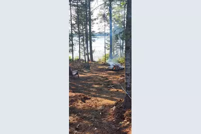 6 Wilderness Way, Wesley, ME 04686 - Photo 11