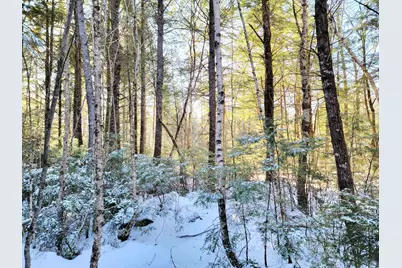 27 Trout Brook Road, Mariaville, ME 04605 - Photo 5