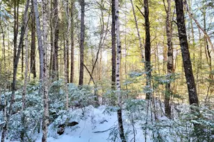 27 Trout Brook Rd, Mariaville, ME 04605 - Photo 5