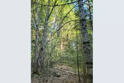 27 Trout Brook Road, Mariaville, ME 04605 - Photo 25