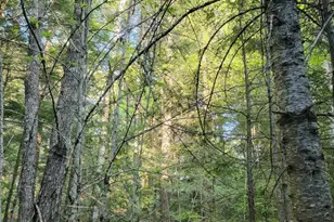 27 Trout Brook Rd, Mariaville, ME 04605 - Photo 25