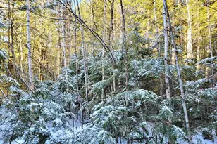 27 Trout Brook Rd, Mariaville, ME 04605 - Photo 7