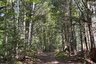 Wa033 Sunset Cove Rd, Big Lake Twp, ME 04668 - Photo 97