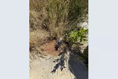 39 Burleigh Road, Stetson, ME 04488 - Photo 7