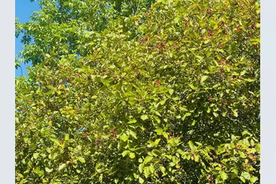 19B & 19C Waters Road, Patten, ME 04765 - Photo 9