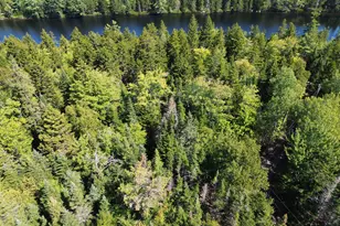 41 Sportsmen's Lodge Rd, Marshfield, ME 04654 - Photo 35