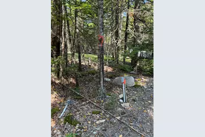 41 Sportsmen's Lodge Road, Marshfield, ME 04654 - Photo 41