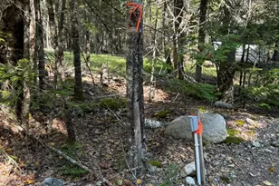 41 Sportsmen's Lodge Rd, Marshfield, ME 04654 - Photo 41