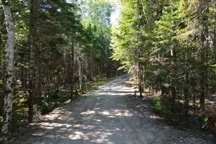 41 Sportsmen's Lodge Rd, Marshfield, ME 04654 - Photo 31