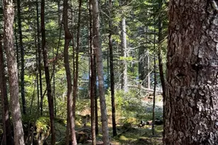 41 Sportsmen's Lodge Rd, Marshfield, ME 04654 - Photo 43