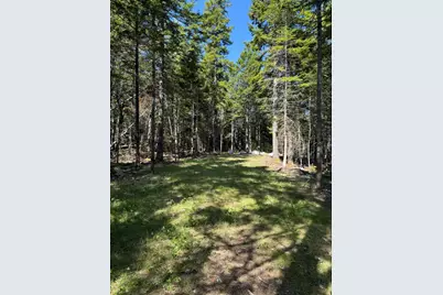 41 Sportsmen's Lodge Road, Marshfield, ME 04654 - Photo 29