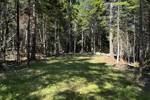 41 Sportsmen's Lodge Rd, Marshfield, ME 04654 - Photo 29