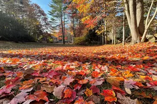 415 Monroe Rd, Hampden, ME 04444 - Photo 75