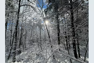 415 Monroe Road, Hampden, ME 04444 - Photo 69