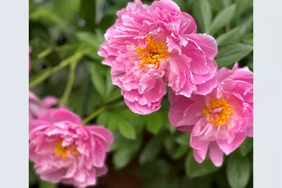 415 Monroe Road, Hampden, ME 04444 - Photo 87