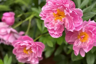 415 Monroe Rd, Hampden, ME 04444 - Photo 87