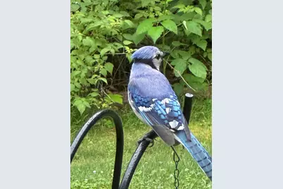 415 Monroe Road, Hampden, ME 04444 - Photo 89