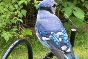 415 Monroe Rd, Hampden, ME 04444 - Photo 89