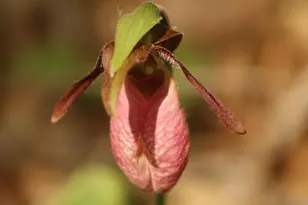 415 Monroe Rd, Hampden, ME 04444 - Photo 85