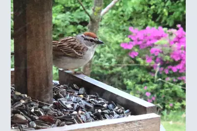 415 Monroe Road, Hampden, ME 04444 - Photo 81