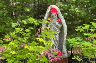 415 Monroe Rd, Hampden, ME 04444 - Photo 83