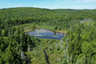 403 Ackley Pond Rd, Patten, ME 04765 - Photo 17