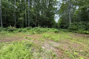 403 Ackley Pond Rd, Patten, ME 04765 - Photo 15