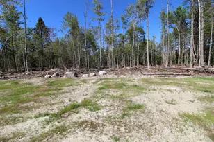 587 N North Searsport Rd, Prospect, ME 04981 - Photo 5