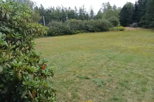 23 Addison Rd, Columbia Falls, ME 04623 - Photo 79