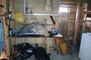 23 Addison Rd, Columbia Falls, ME 04623 - Photo 69