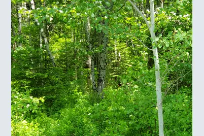 M 5 Lot 40 Morgan Road, Burnham, ME 04922 - Photo 13