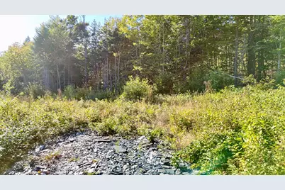 Lot 11 West Ridge Drive, Greenville, ME 04441 - Photo 3
