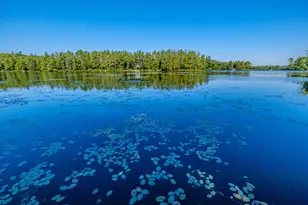 13 & 16 Joyal Hill Ln, Casco, ME 04015 - Photo 97