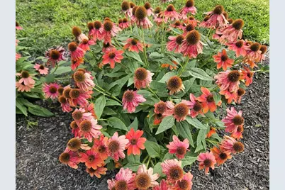 775 US Rt 2, Wilton, ME 04294 - Photo 69