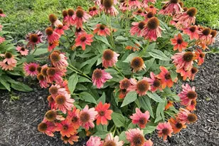 775 US Rt 2, Wilton, ME 04294 - Photo 69