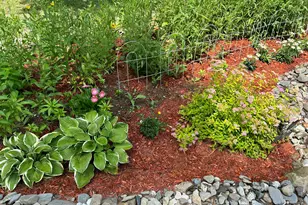 1053 Oliver Hill Rd, Dover Foxcroft, ME 04426 - Photo 31