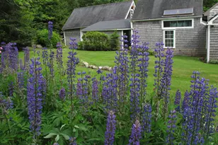 55 Upper Sylvan St, Stockton Springs, ME 04981 - Photo 37