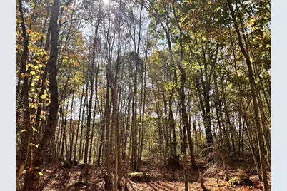 150 Bowden Point Road, Prospect, ME 04981 - Photo 11