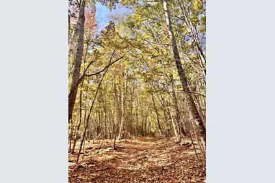 150 Bowden Point Road, Prospect, ME 04981 - Photo 31