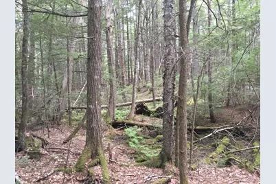 B-2Backlot Pioneer Path, Aurora, ME 04605 - Photo 9