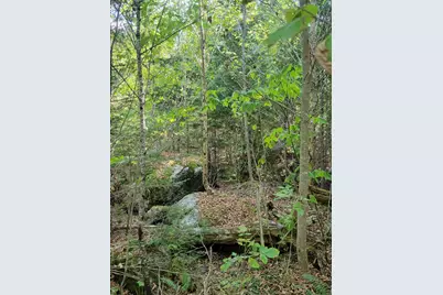 B-2Backlot Pioneer Path, Aurora, ME 04605 - Photo 17